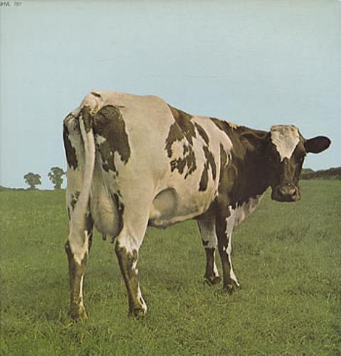 US盤Pink Floyd Atom Heart Mother & Meddle Atom Heart Mother: Pink Floyd: Amazon.ca: Music